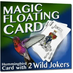 Hummingbird Card
