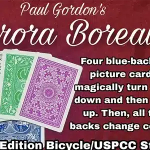Aurora Borealis