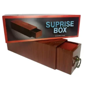 Surprise Box